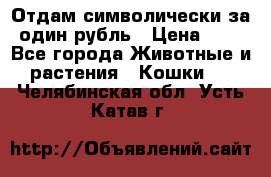 Отдам символически за один рубль › Цена ­ 1 - Все города Животные и растения » Кошки   . Челябинская обл.,Усть-Катав г.
